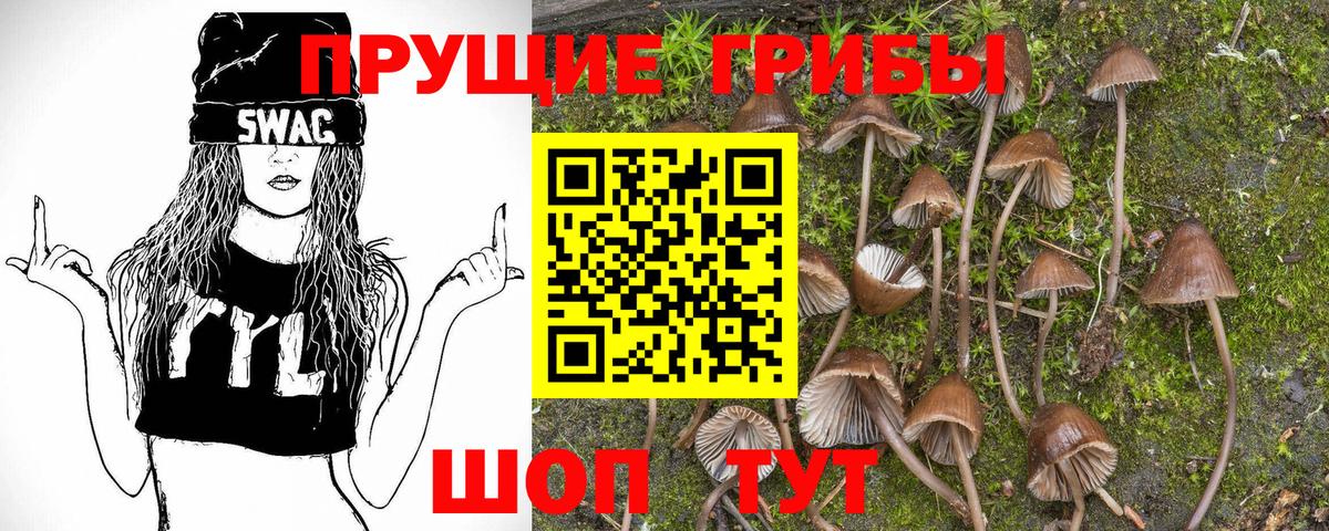 Янаул  Псилоцибиновые грибы Cubensis  даркнет сайт  Галлюциногенные грибы мицелий  Вход с VPN 