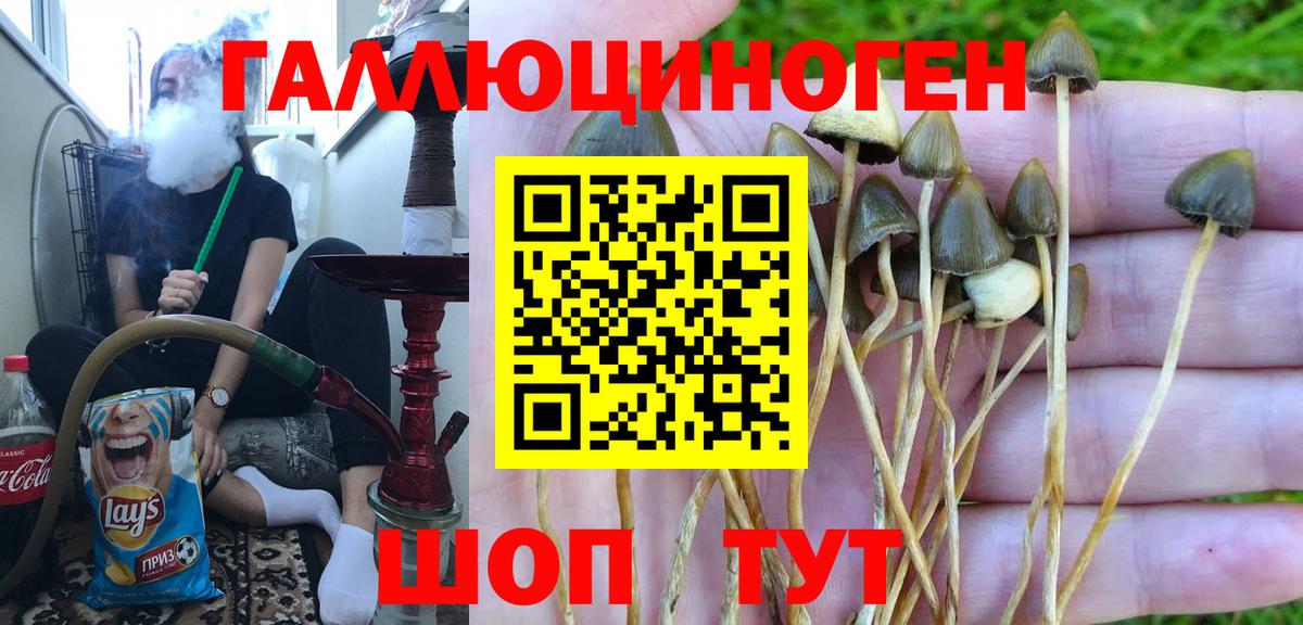Псилоцибиновые грибы Magic Shrooms Янаул